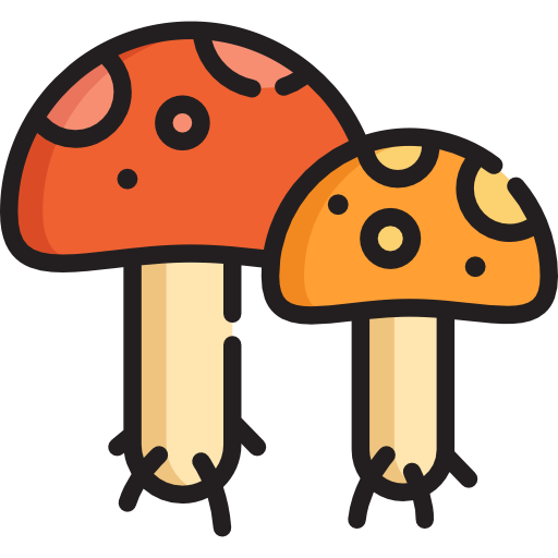 Icône diagnostic mérule