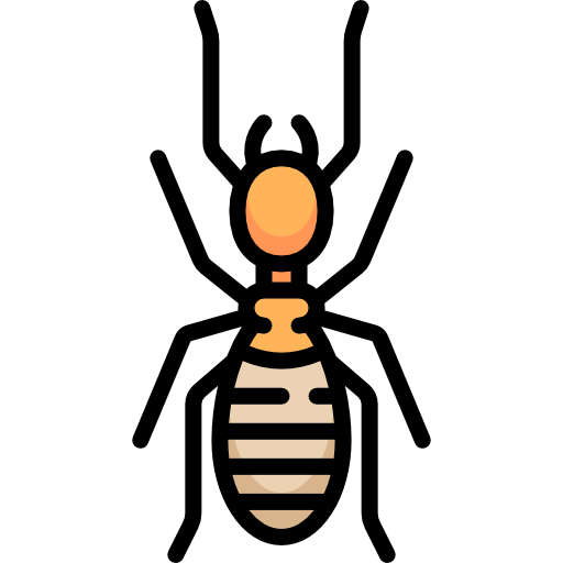 Icône diagnostic termites